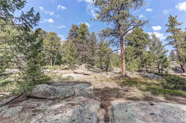 $559,000 | 9335 Eagle Cliff Road, Conifer, CO 80433