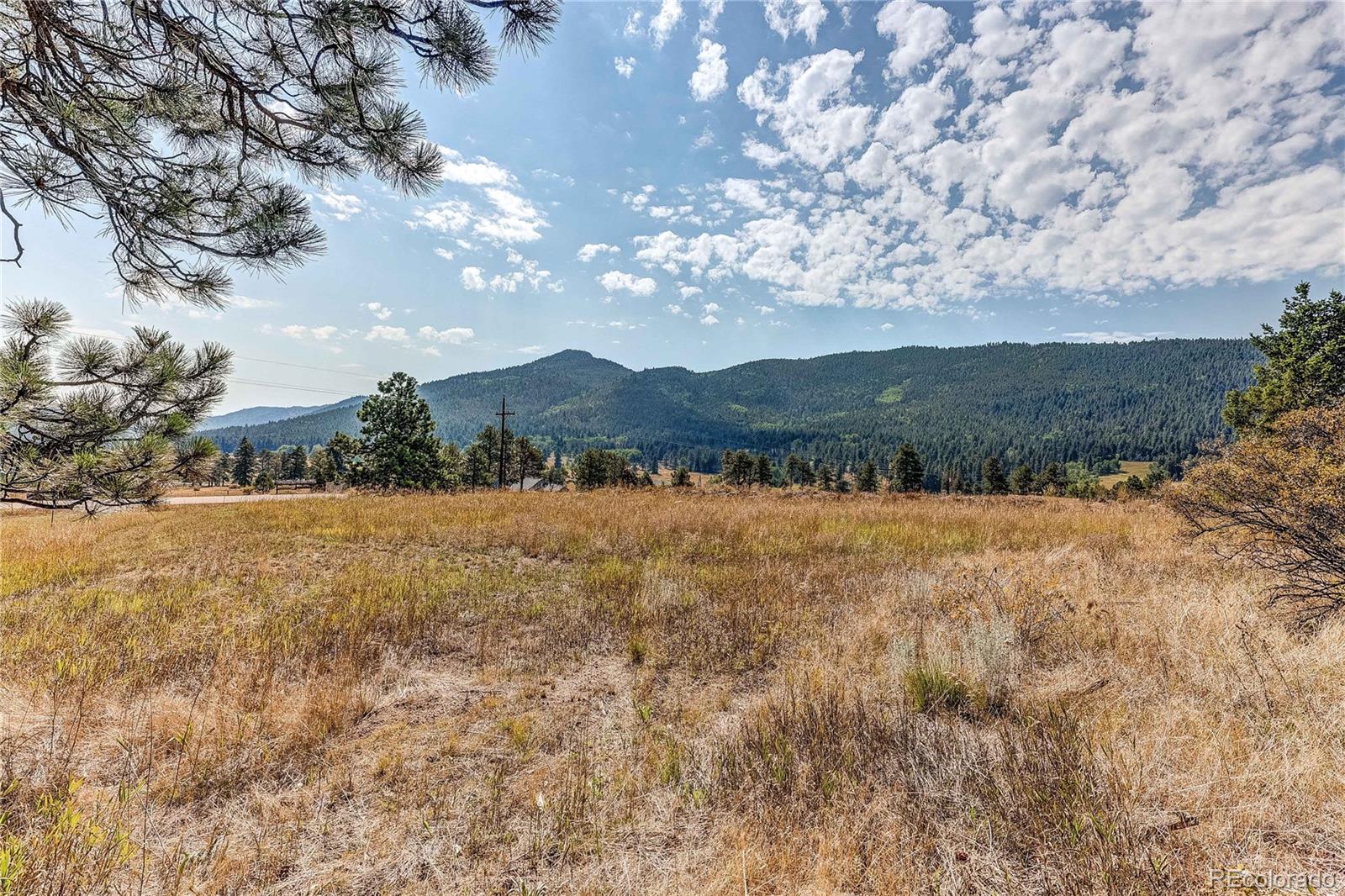 9335 Eagle Cliff Road Conifer, CO 80433 - Photo 28 of 31