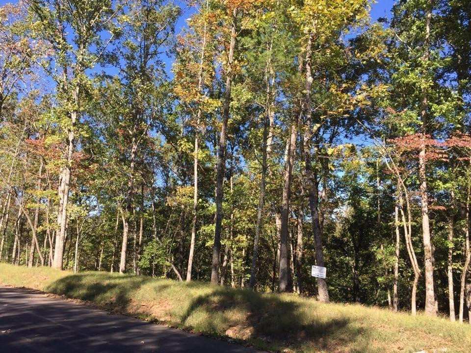 Lot #94 River Mountain Road Murphy, NC 28906 - Photo 8 of 12