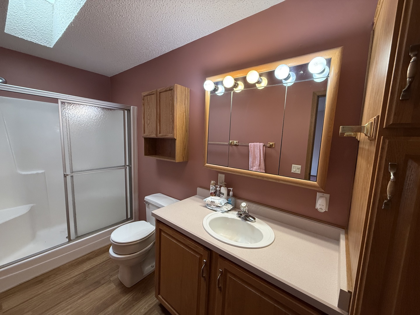 52 Crocus Lane Matteson, IL 60443 - Photo 11 of 23