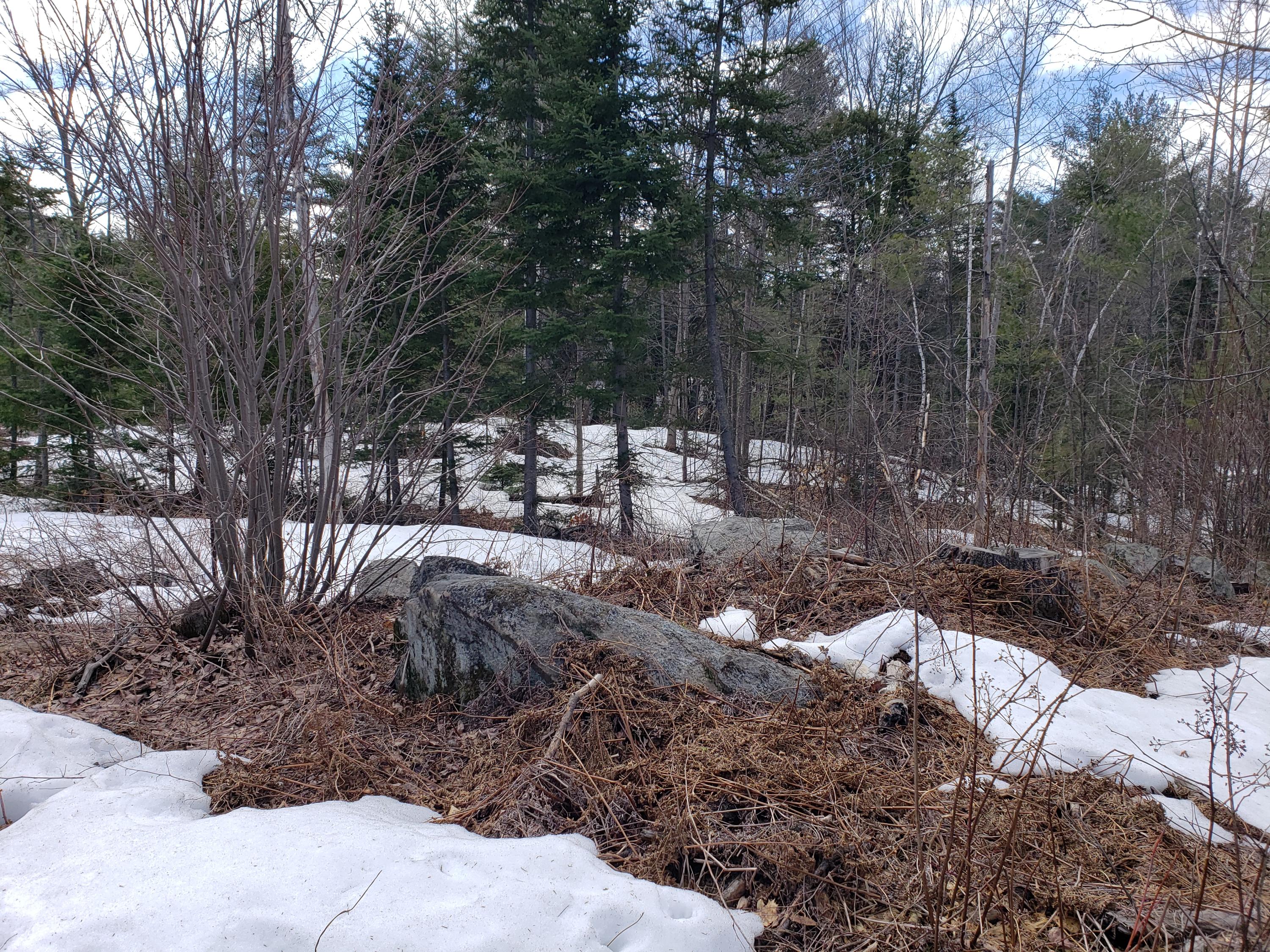 Tbd Lomie Rivers Road Jay, ME 04239 - Photo 17 of 30 20190416_101706