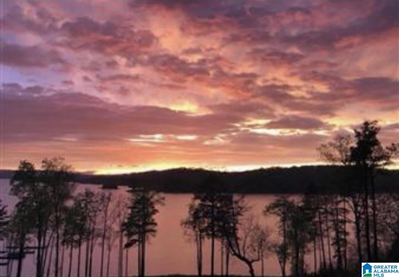 236 Shoreline View Talladega, AL 35160 - Photo 2 of 38
