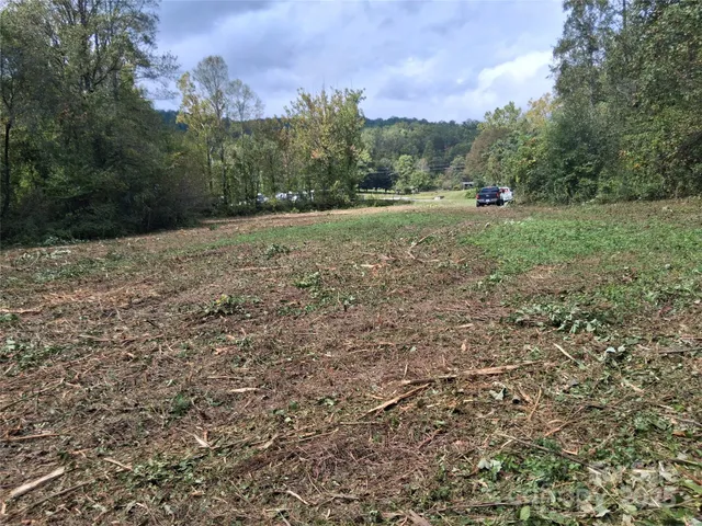 a view of outdoor space with green field and trees