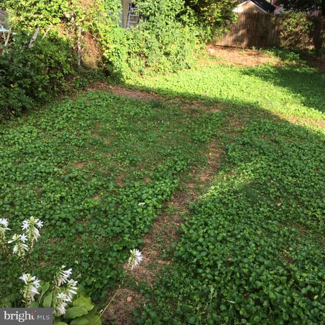 12031 Bluhill Road Silver Spring, MD 20902 - Photo 19 of 20 Backyard