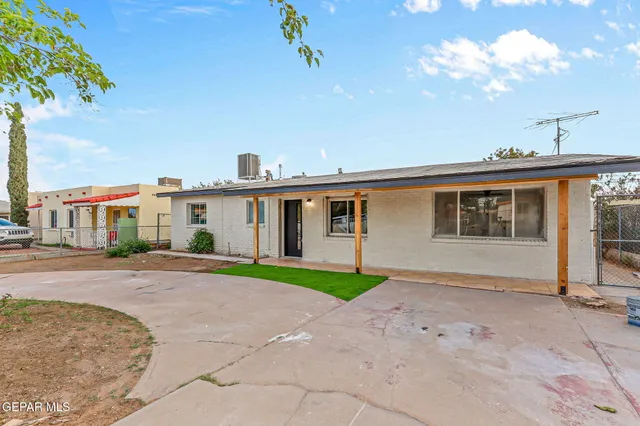 a room with furniture and a potted plant