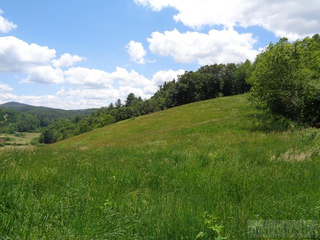 Reno Road Jefferson, NC 28629 - Photo 26 of 39 Gallery Image 26