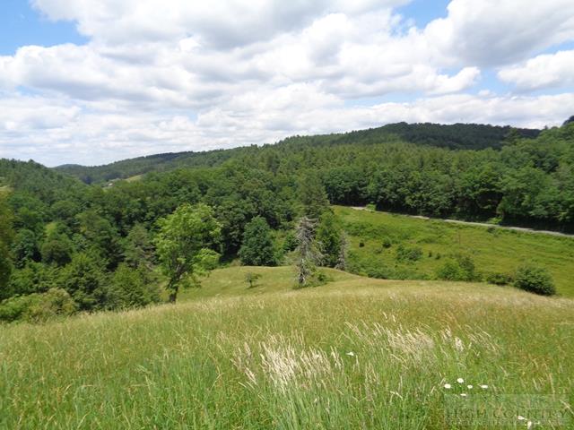 Reno Road Jefferson, NC 28629 - Photo 29 of 39 Gallery Image 29