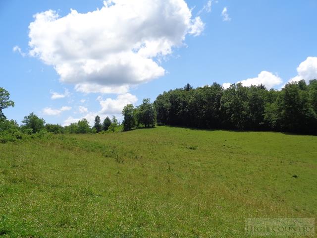 Reno Road Jefferson, NC 28629 - Photo 36 of 39 Gallery Image 36