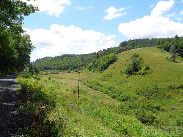Reno Road Jefferson, NC 28629 - Photo 10 of 39 Gallery Image 10