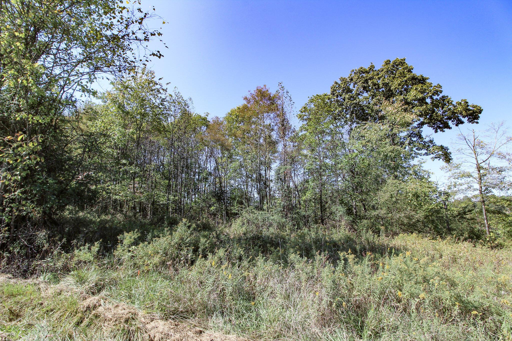Lot 4 Moss Run Road Marietta, OH 45750 - Photo 6 of 14