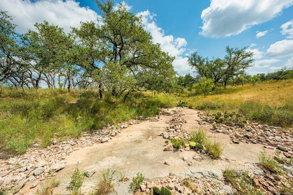 1445 Cave Wells Road, Unit 15 Fort McKavett, TX 76841 - Photo 2 of 11 a view of a lake with a yard