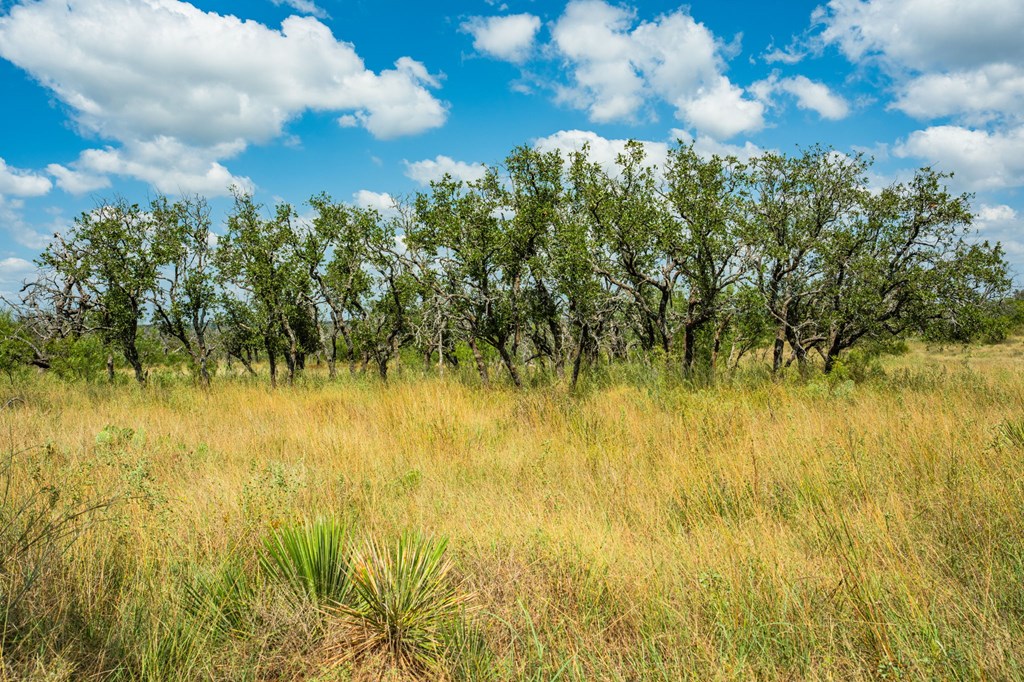 1445 Cave Wells Road, Unit 15 Fort McKavett, TX 76841 - Photo 5 of 11 a view of a lake view