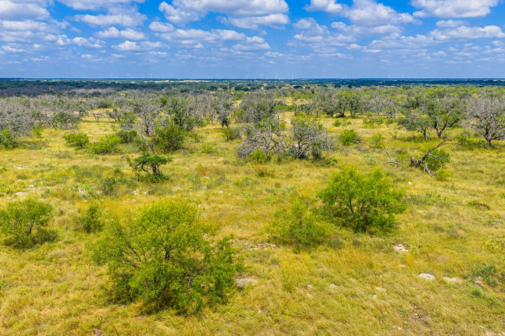 1445 Cave Wells Road, Unit 15 Fort McKavett, TX 76841 - Photo 9 of 11 a view of a large tree