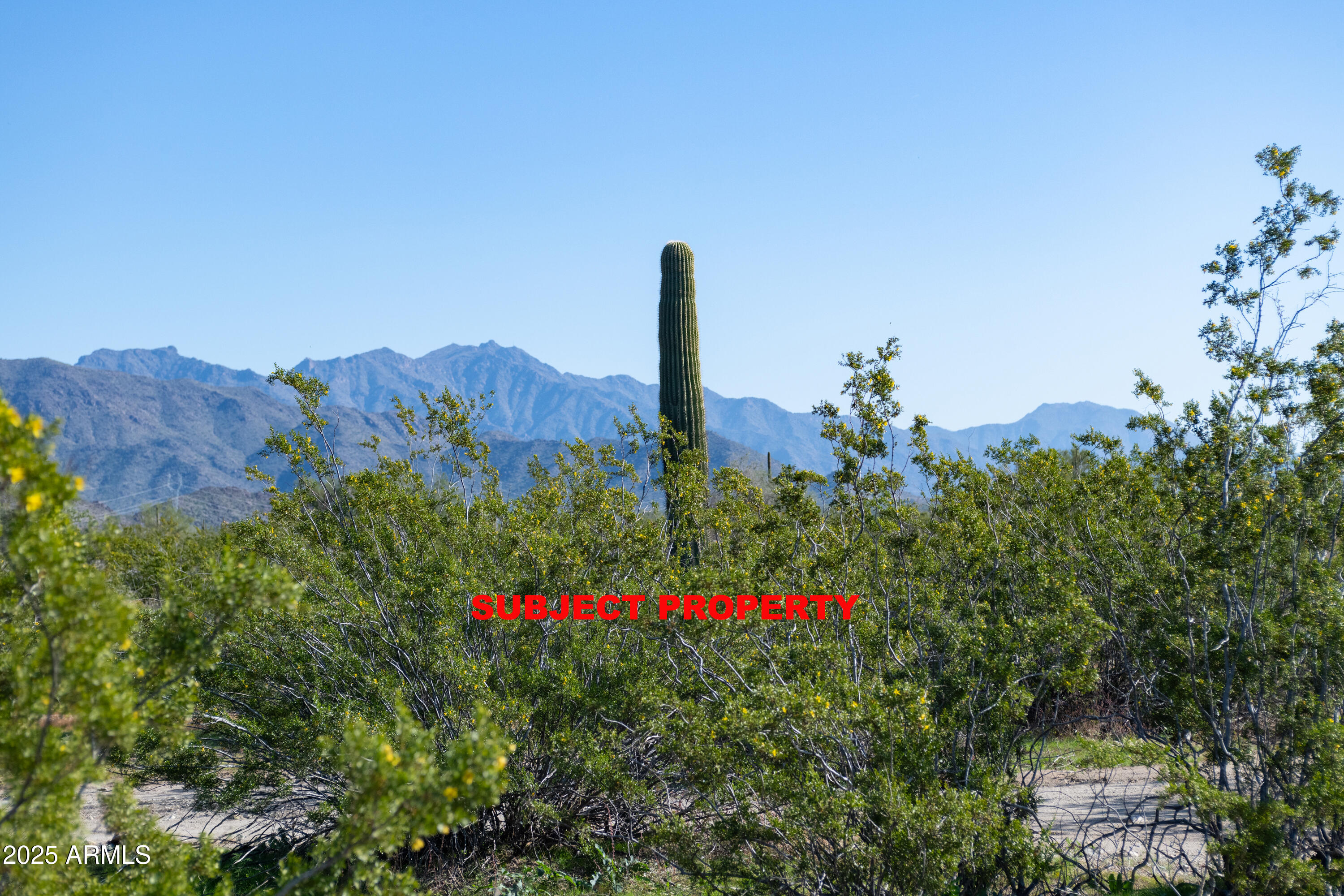 2-acres East 2-acres E Ocotillo (no Address) Road Laveen, AZ 85339 - Photo 11 of 25 a view of a flower in a garden
