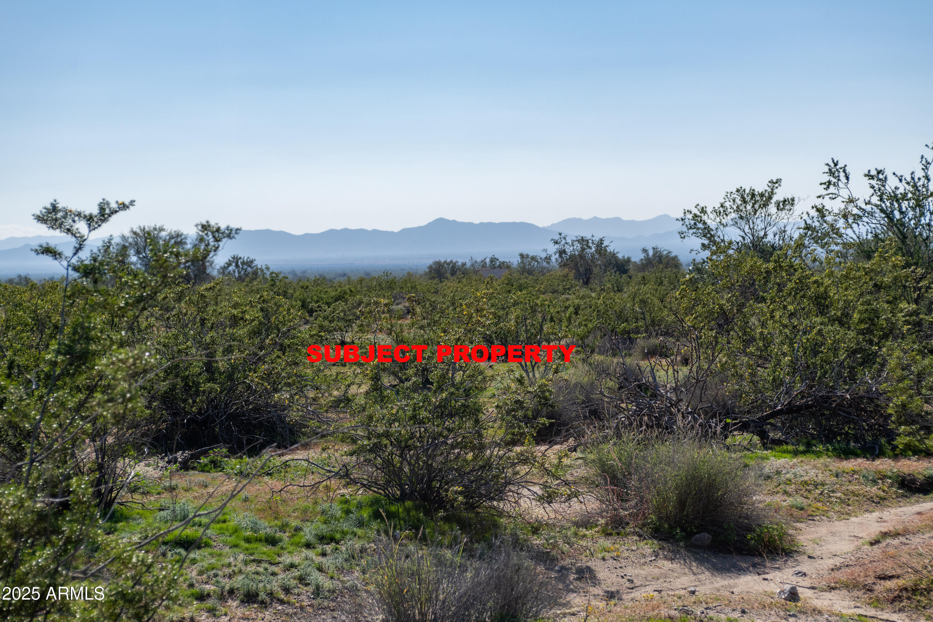 2-acres East 2-acres E Ocotillo (no Address) Road Laveen, AZ 85339 - Photo 16 of 25 a view of a forest with a mountain and trees