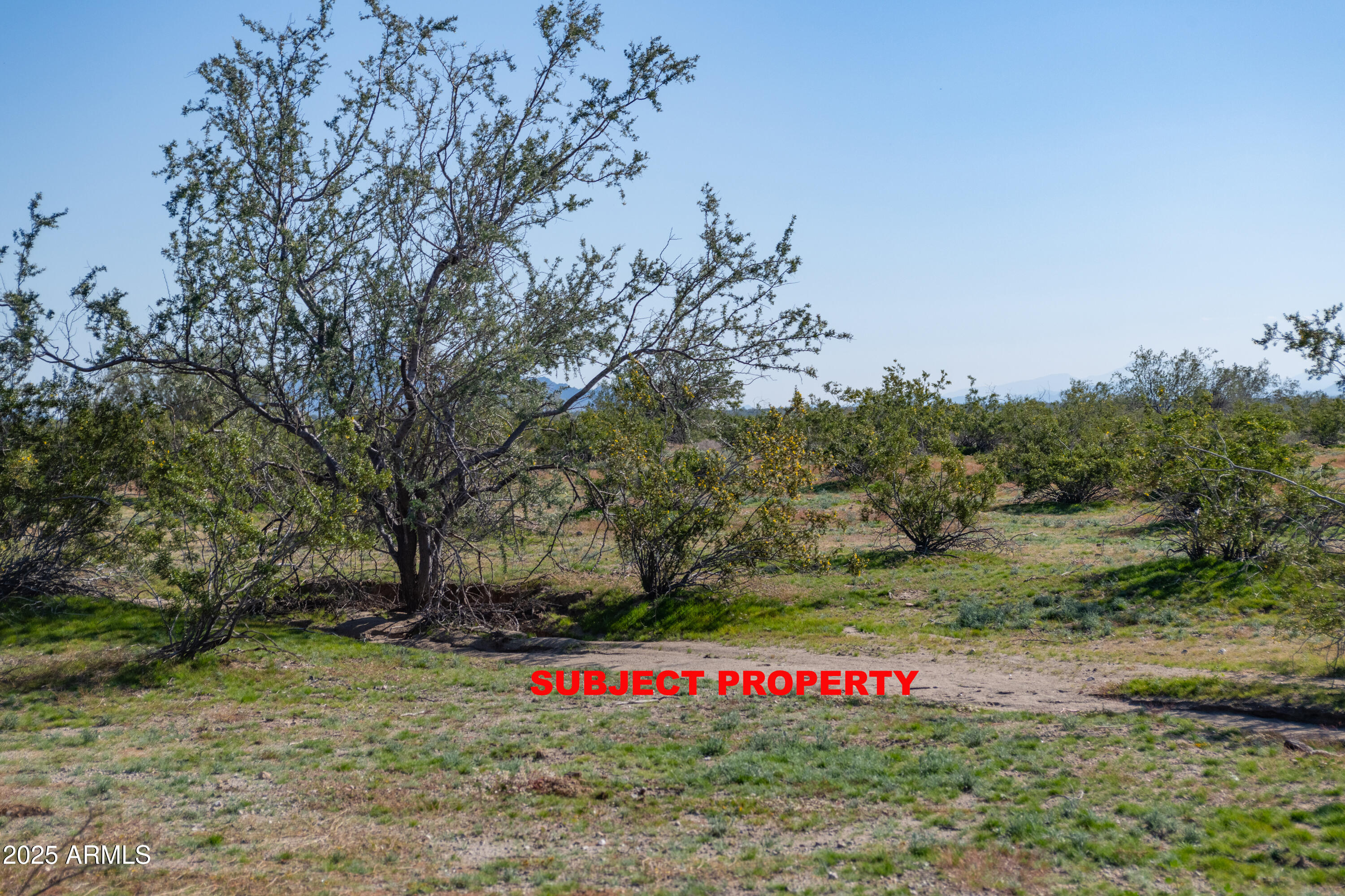 2-acres East 2-acres E Ocotillo (no Address) Road Laveen, AZ 85339 - Photo 17 of 25 a view of a park with large trees