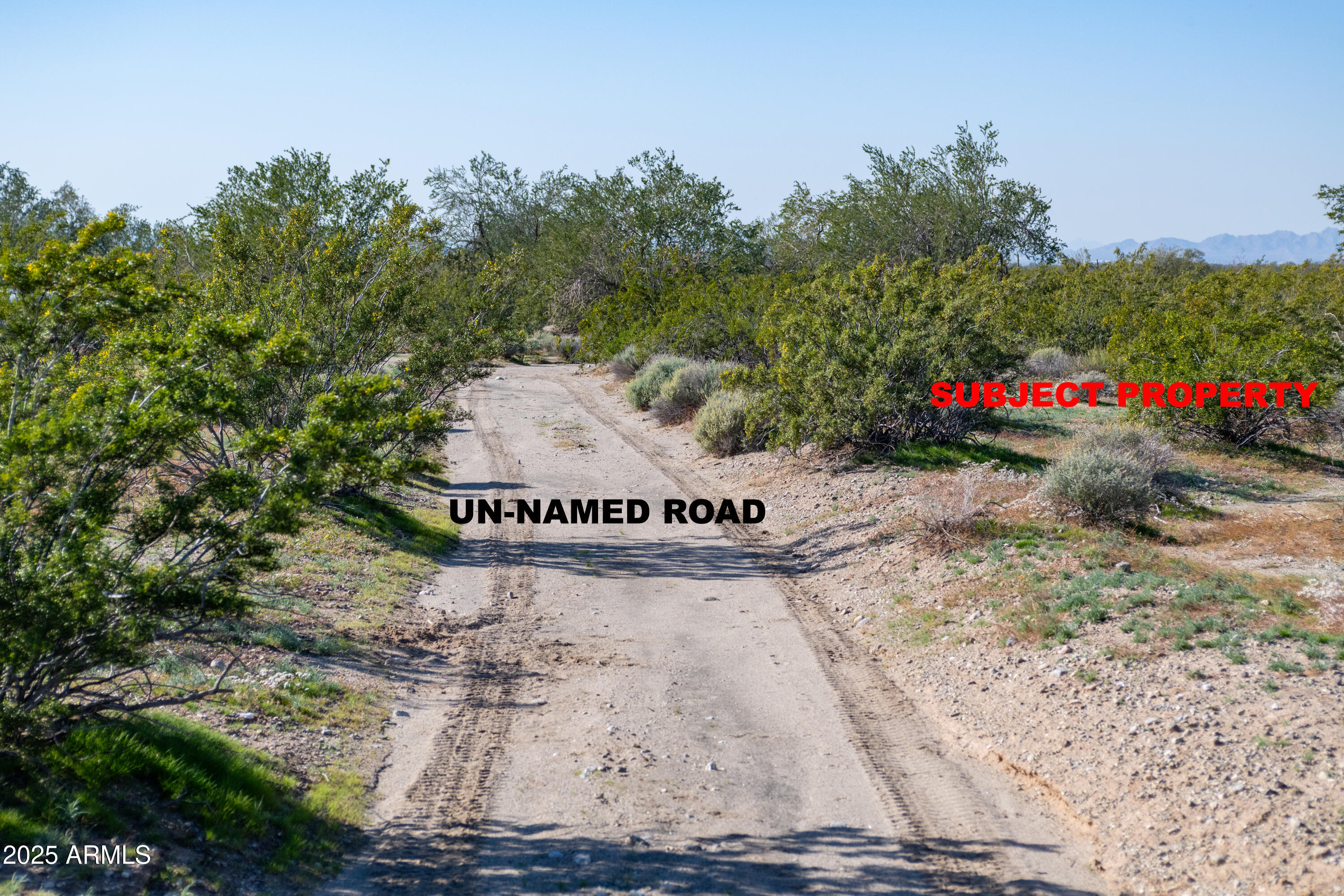 2-acres East 2-acres E Ocotillo (no Address) Road Laveen, AZ 85339 - Photo 22 of 25 a view of a park with large trees