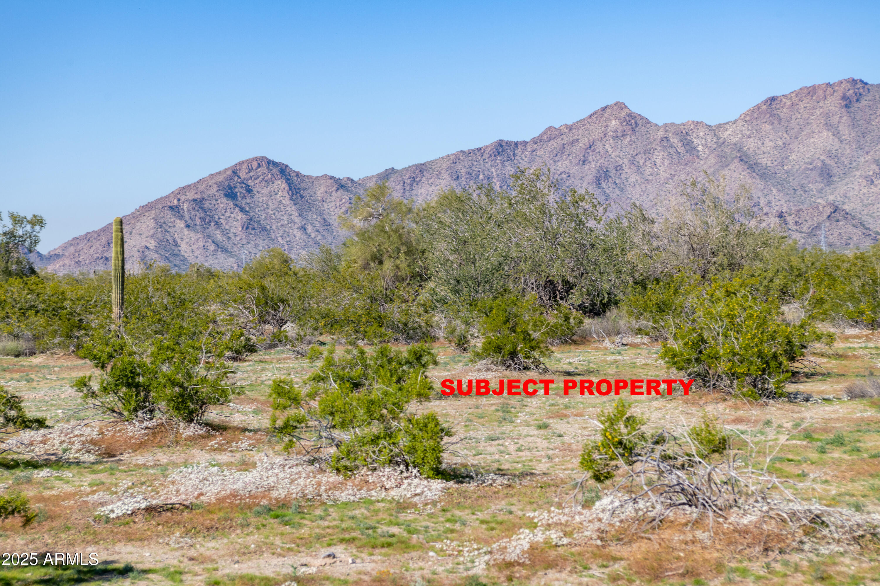 2-acres East 2-acres E Ocotillo (no Address) Road Laveen, AZ 85339 - Photo 6 of 25 a picture of mountains