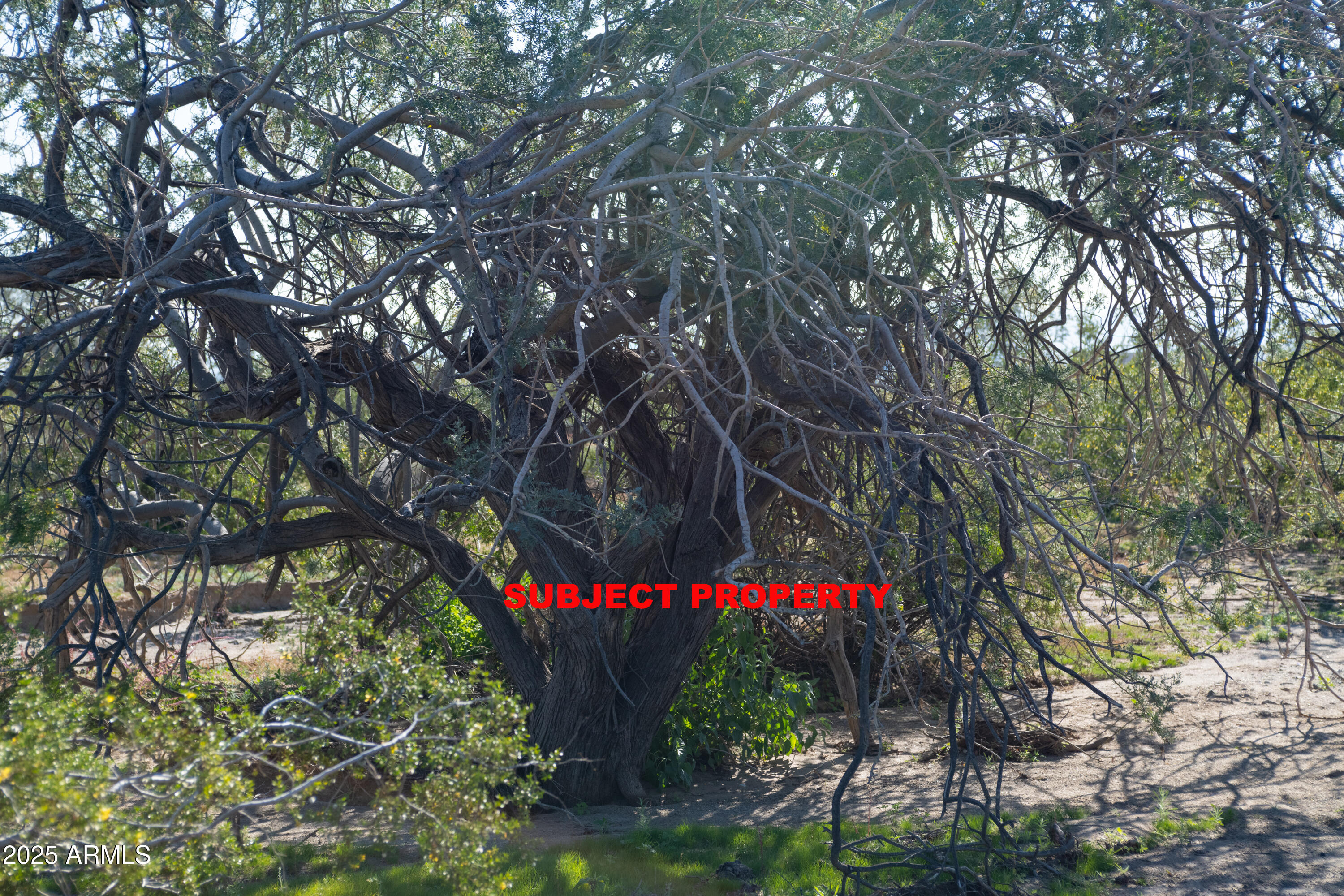 2-acres East 2-acres E Ocotillo (no Address) Road Laveen, AZ 85339 - Photo 9 of 25 a sign that is sitting in a forest