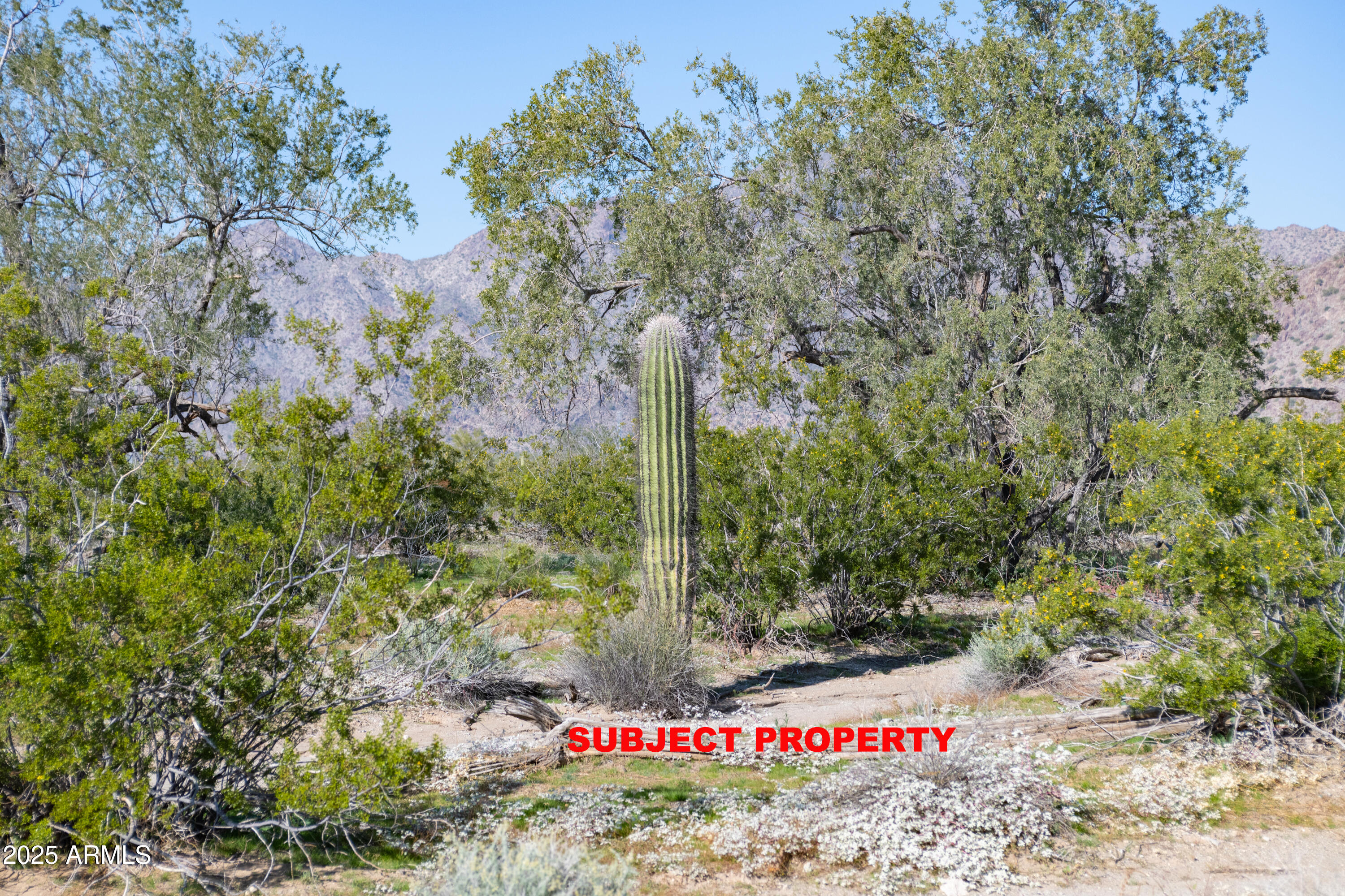 2-acres East 2-acres E Ocotillo (no Address) Road Laveen, AZ 85339 - Photo 10 of 25 a sign that is on the side of a road