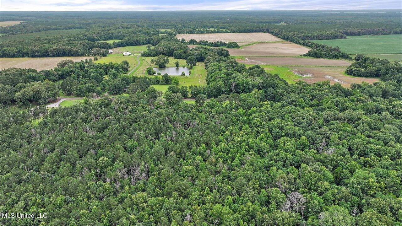 0 Parker Road Pelahatchie, MS 39145 - Photo 2 of 8 04-Parker Rd