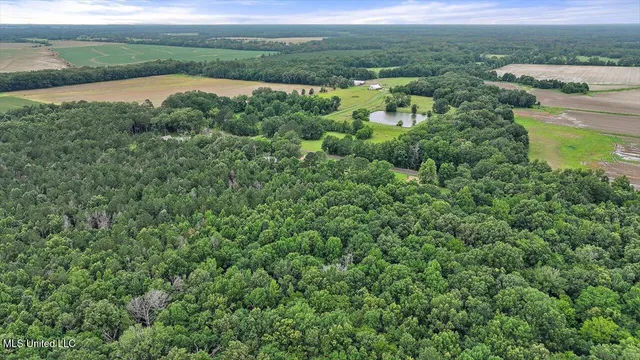 $80,000 | 0 Parker Road, Pelahatchie, MS 39145
