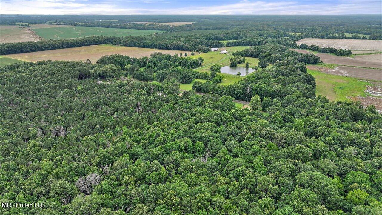 0 Parker Road Pelahatchie, MS 39145 - Photo 3 of 8 05-Parker Rd