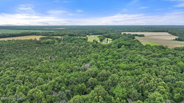 $80,000 | 0 Parker Road, Pelahatchie, MS 39145