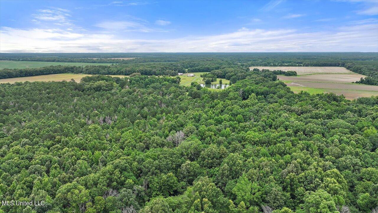 0 Parker Road Pelahatchie, MS 39145 - Photo 5 of 8 17-Parker Rd