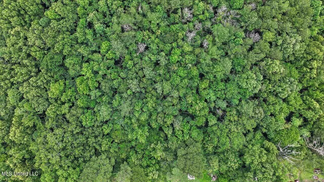 $80,000 | 0 Parker Road, Pelahatchie, MS 39145