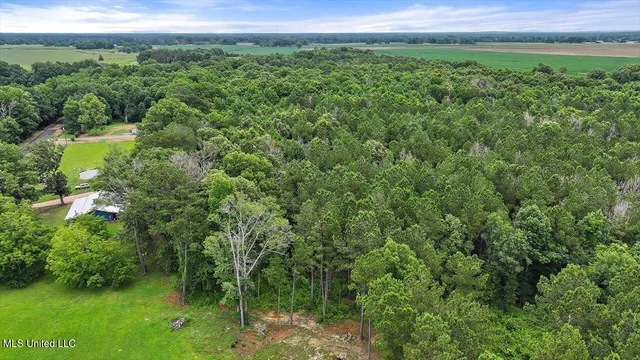 $80,000 | 0 Parker Road, Pelahatchie, MS 39145