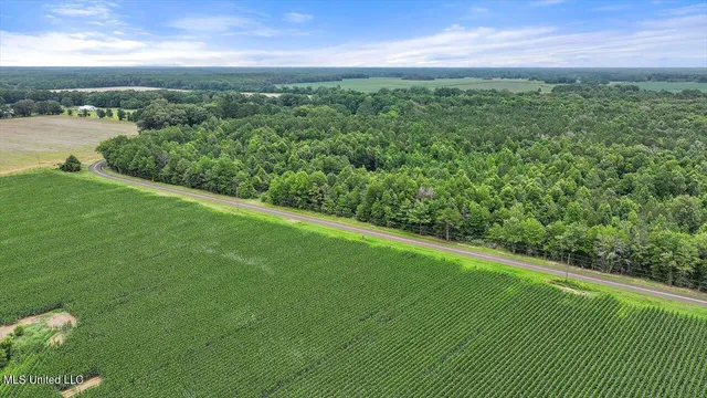 $80,000 | 0 Parker Road, Pelahatchie, MS 39145