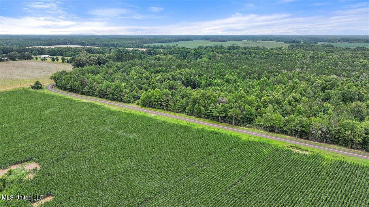 0 Parker Road Pelahatchie, MS 39145 - Photo 8 of 8 33-Parker Rd