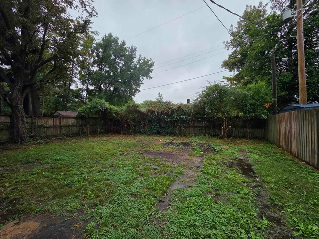 a view of backyard with green space
