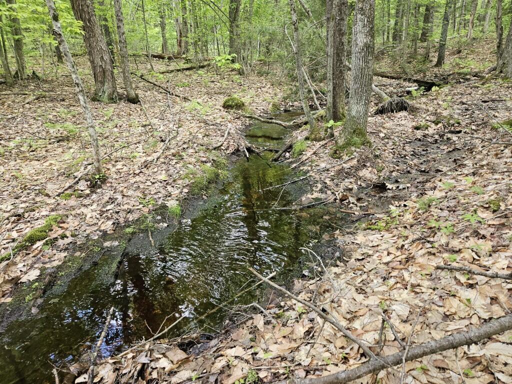 M10-l44 Mountain View Road Fryeburg, ME 04037 - Photo 20 of 36