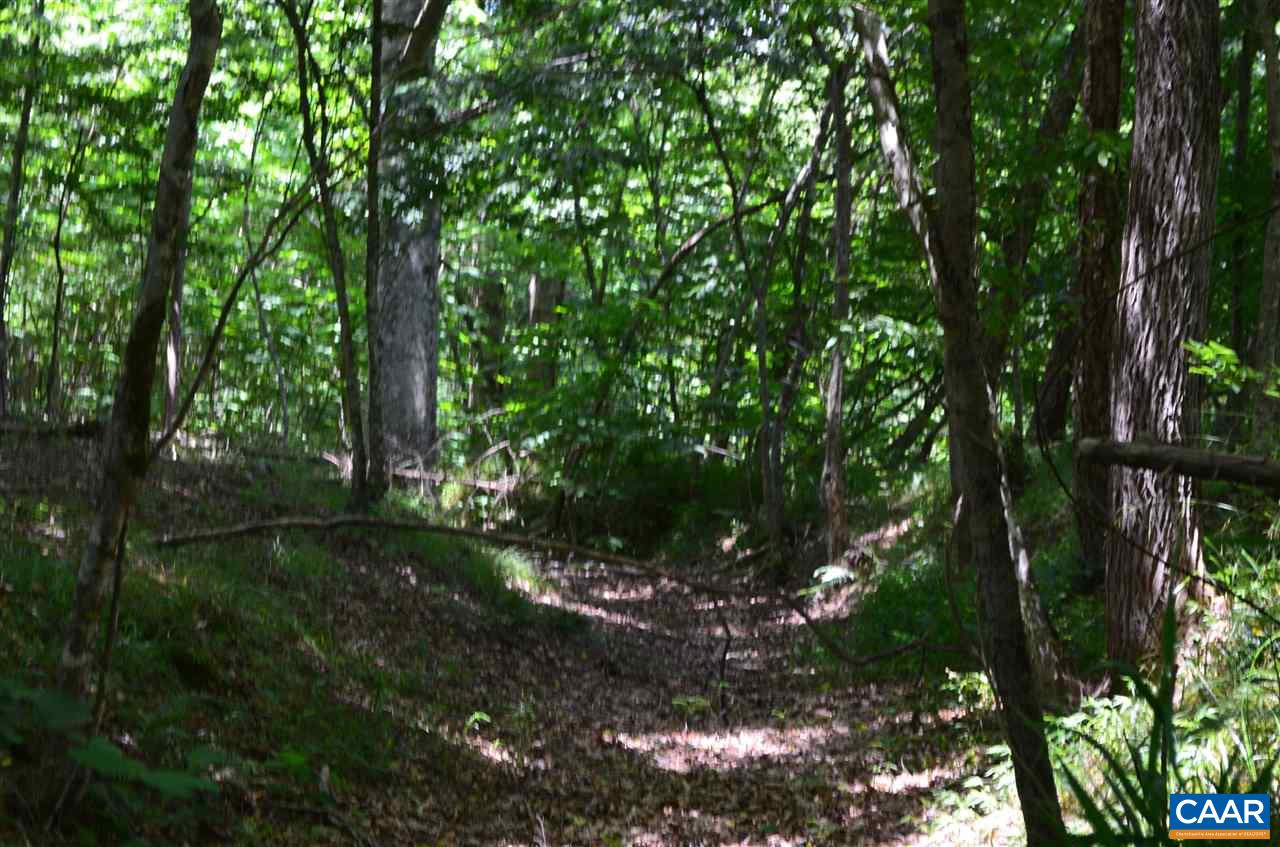 1153 White Hall Road Keswick, VA 22947 - Photo 5 of 18 Gallery Image 5