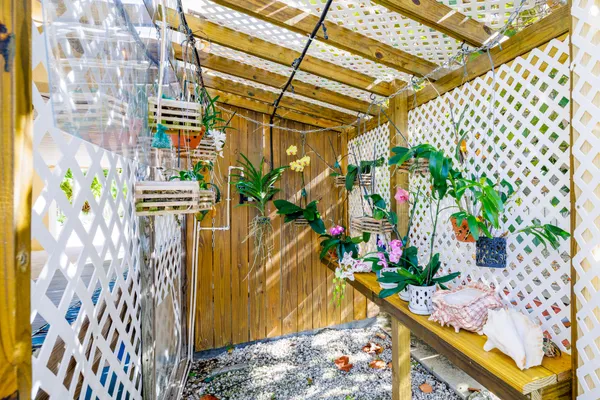 a view of a palm area with potted plants
