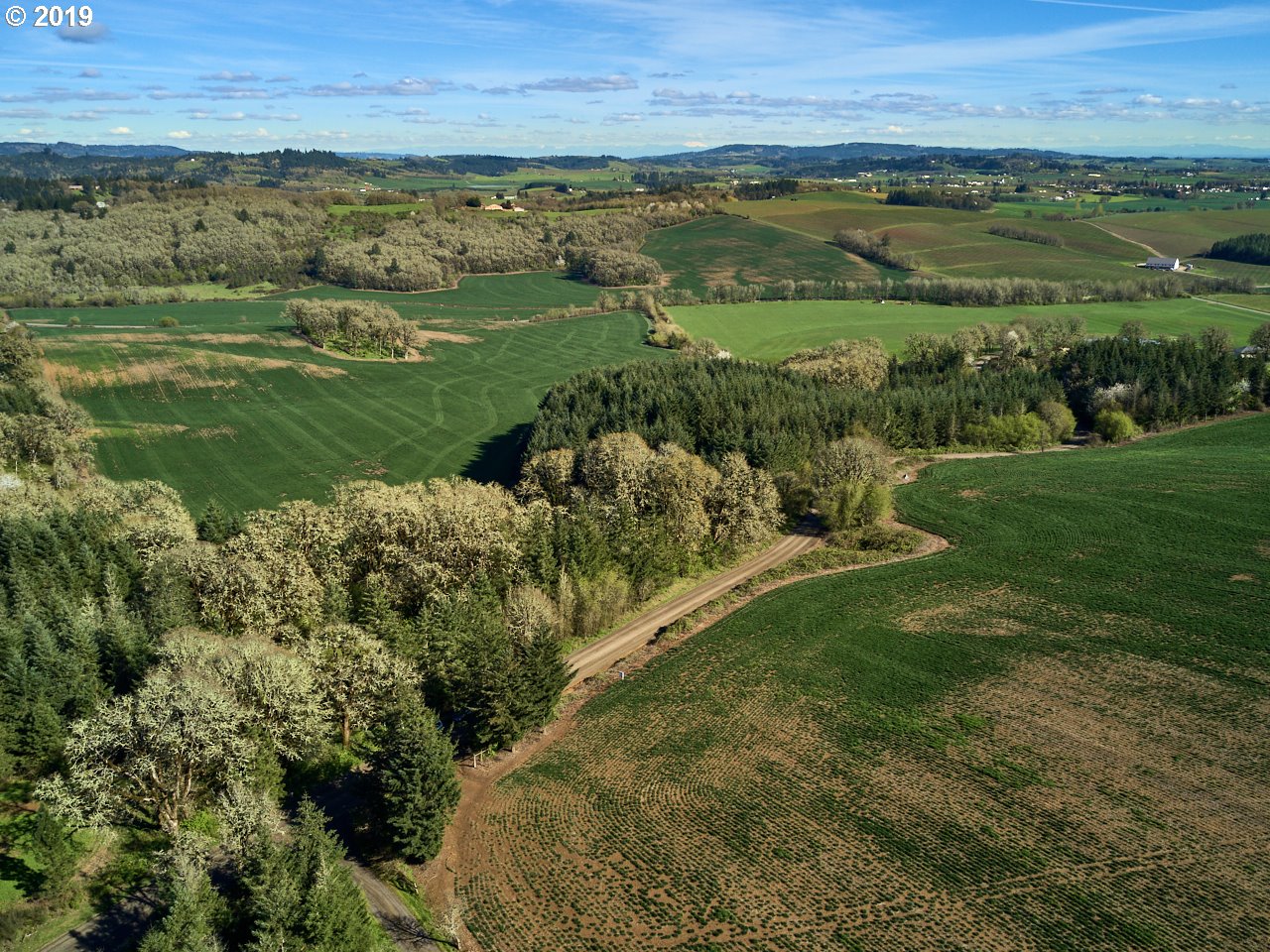 0 Northwest Gerrish Valley Road Yamhill, OR 97148 - Photo 22 of 25 Gallery Image 22