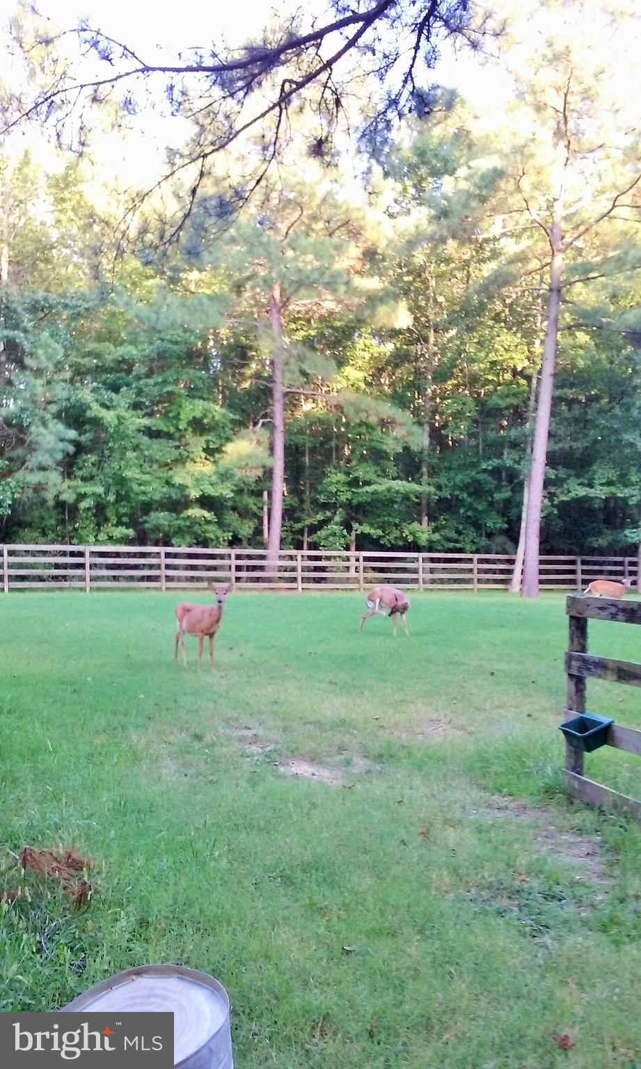 5773 Shady Side Road Churchton, MD 20733 - Photo 36 of 59 Gallery Image 36