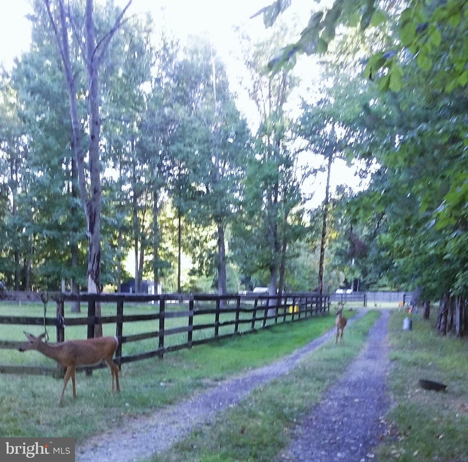 5773 Shady Side Road Churchton, MD 20733 - Photo 41 of 59 Gallery Image 41
