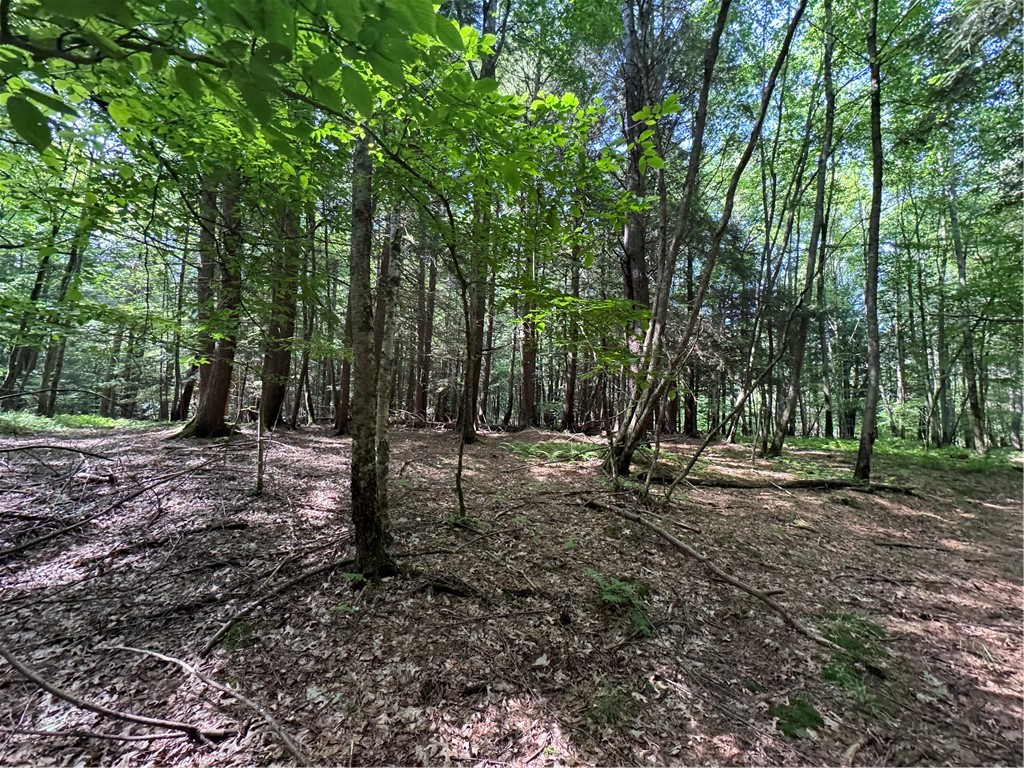 5757 State Highway Oneonta, NY 13820 - Photo 1 of 8 Gallery Image 1