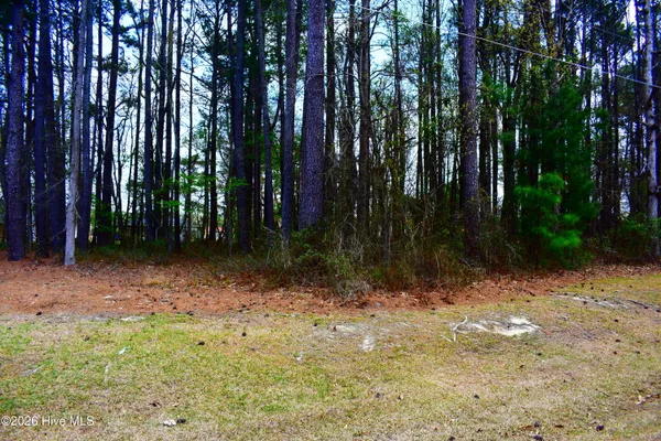$20,000 | 6712 Wood Avenue, Stantonsburg, NC 27883