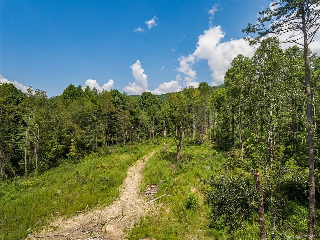 Tbd Hamilton Road, Unit NONE Penrose, NC 28766 - Photo 2 of 12