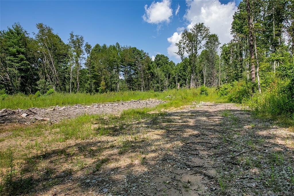 Tbd Hamilton Road, Unit NONE Penrose, NC 28766 - Photo 11 of 12