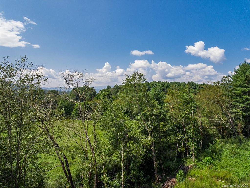 Tbd Hamilton Road, Unit NONE Penrose, NC 28766 - Photo 3 of 12