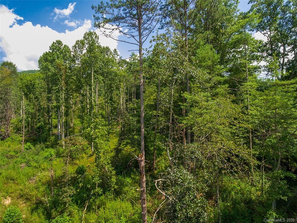 Tbd Hamilton Road, Unit NONE Penrose, NC 28766 - Photo 4 of 12