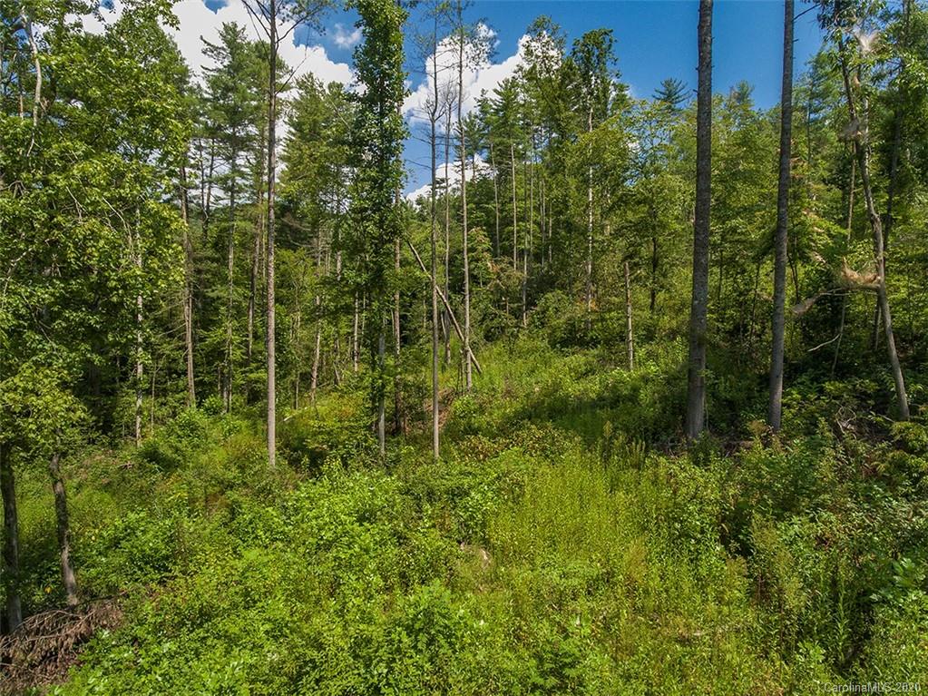 Tbd Hamilton Road, Unit NONE Penrose, NC 28766 - Photo 5 of 12