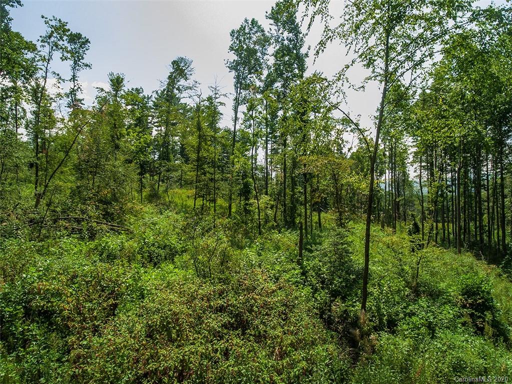 Tbd Hamilton Road, Unit NONE Penrose, NC 28766 - Photo 6 of 12