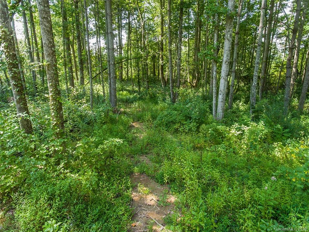 Tbd Hamilton Road, Unit NONE Penrose, NC 28766 - Photo 8 of 12