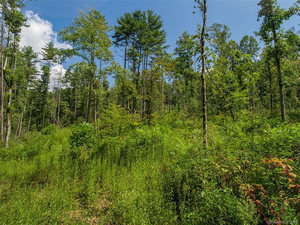 Tbd Hamilton Road, Unit NONE Penrose, NC 28766 - Photo 9 of 12